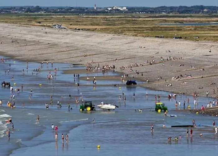 Villa St Elme, Maison De Pecheurs, Wifi Jardin *