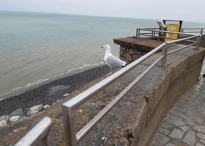 Villa St Elme, Maison De Pecheurs, Wifi Jardin *