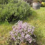 St Elme, Maison De Pecheurs, Wifi Jardin オー