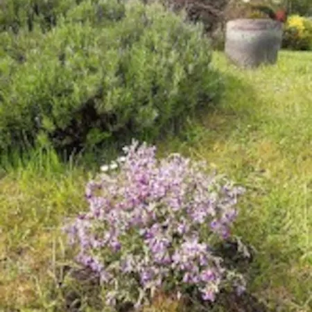 St Elme, Maison De Pecheurs, Wifi Jardin オー